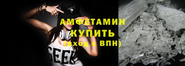 шишки Абаза