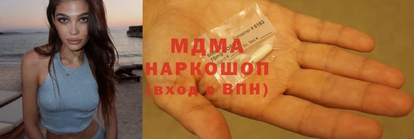шишки Абаза
