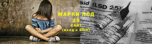 шишки Абаза