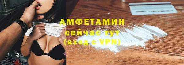 шишки Абаза