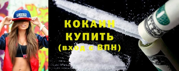 шишки Абаза