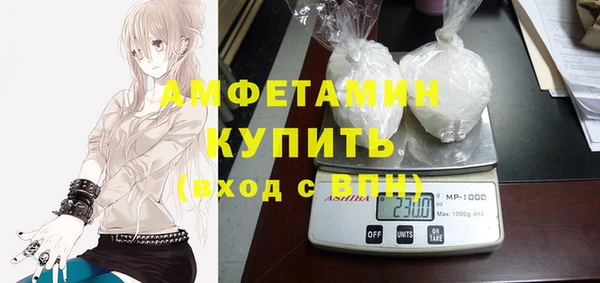 шишки Абаза