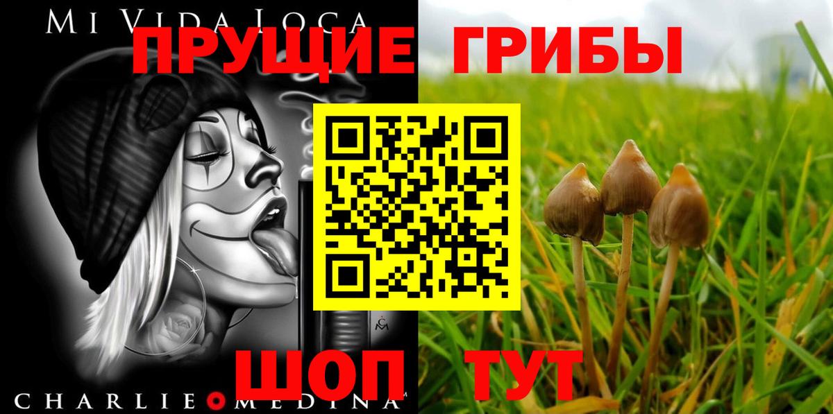 Галлюциногенные грибы мухоморы  Вход с VPN  Галлюциногенные грибы Psilocybe  как найти наркотики  Кострома 
